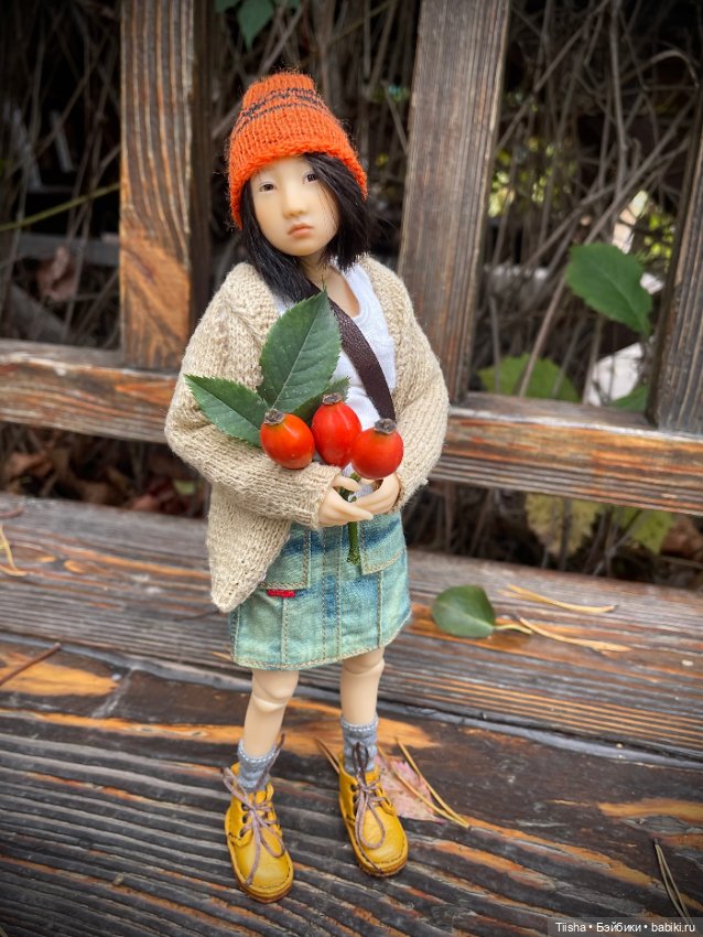 Осенняя Наби — Разные куклы BJD (БЖД): редкие бренды