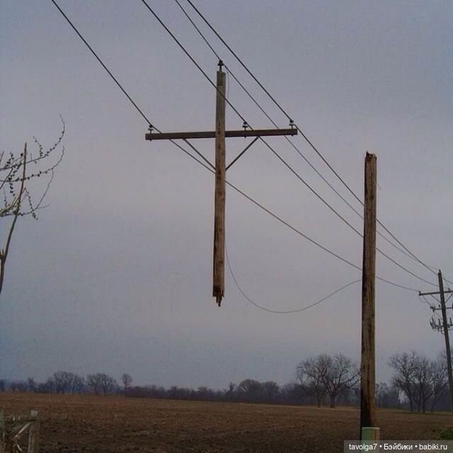 Хэллоуин от профи - графика и куклы