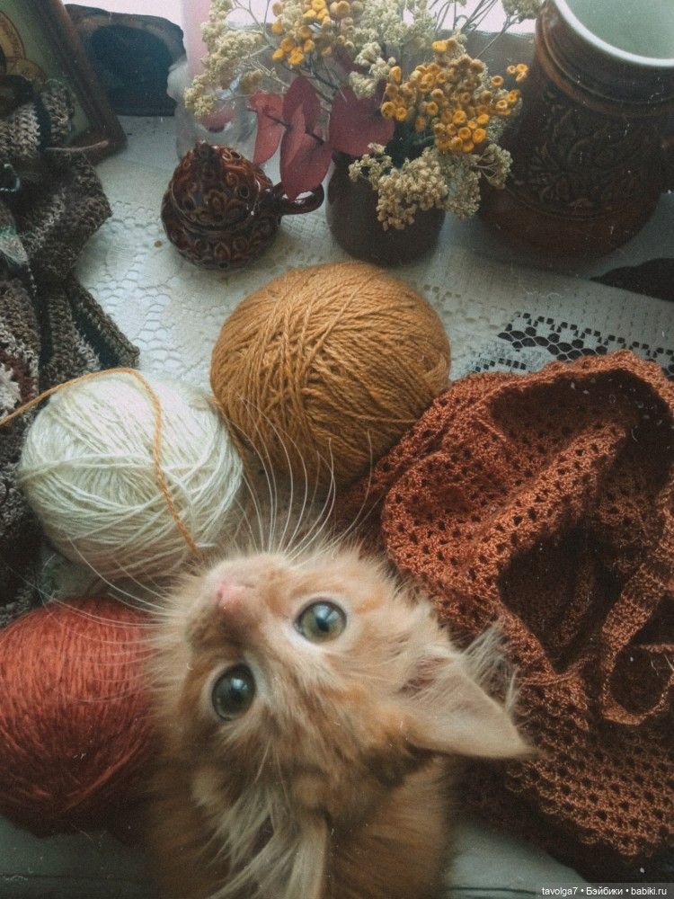 Октябрь - цвет — Сочетание цветов: палитры для одежды и интерьера