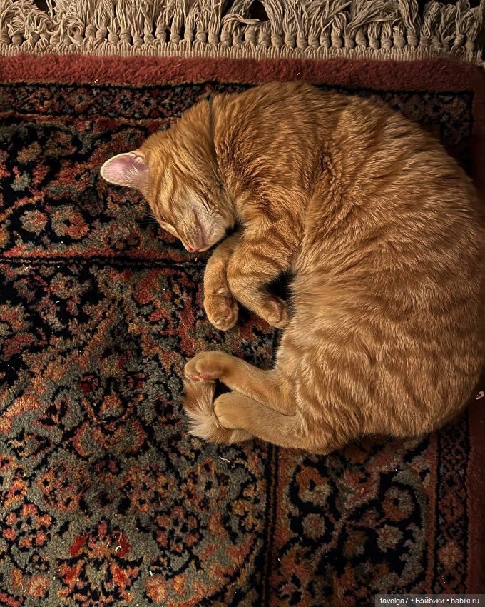 Октябрь - цвет — Сочетание цветов: палитры для одежды и интерьера