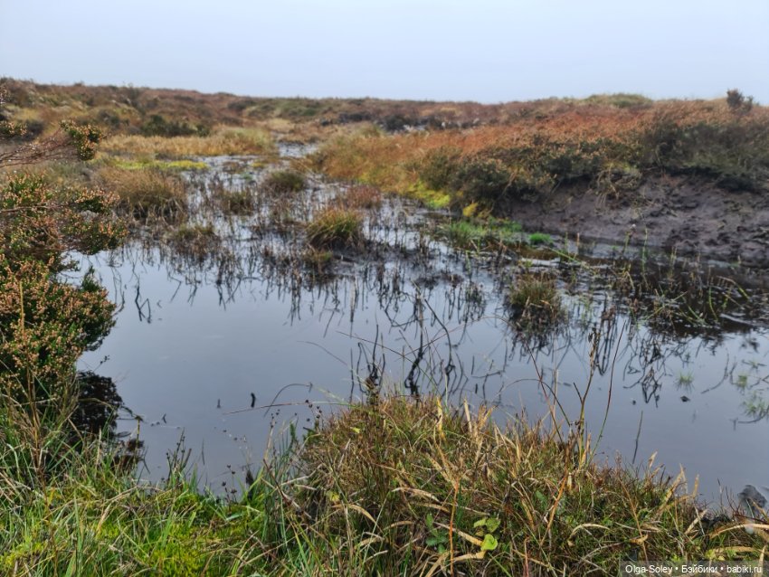 Не бойся, я с тобой — Туризм и путешествия: фотоотчеты из поездок (фото 2)