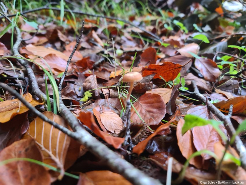Не бойся, я с тобой — Туризм и путешествия: фотоотчеты из поездок (фото 6)