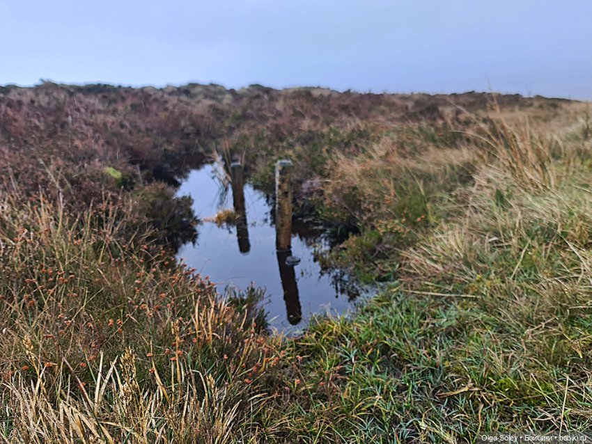 Не бойся, я с тобой — Туризм и путешествия: фотоотчеты из поездок (фото 7)