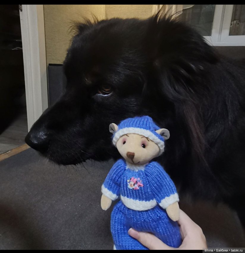 Реставрация пострадавшего , от зубов собакена (фото 9)