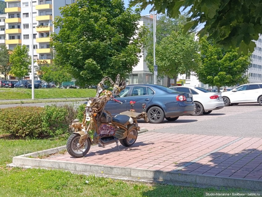 Маленький вихтеленок Луис