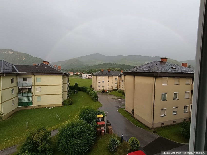 Маленький вихтеленок Луис