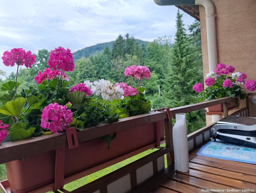 Маленький вихтеленок Луис