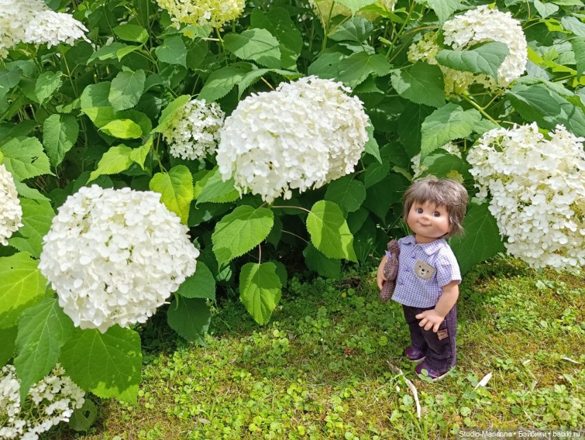 Маленький вихтеленок Луис