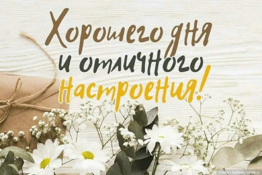 Пупсы-мулаты 20-23см — Игровые куклы разных производителей (Разное): редкие бренды