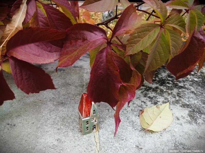 "Лес не примет, не примет город"