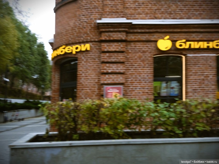 "Лес не примет, не примет город" (фото 3)