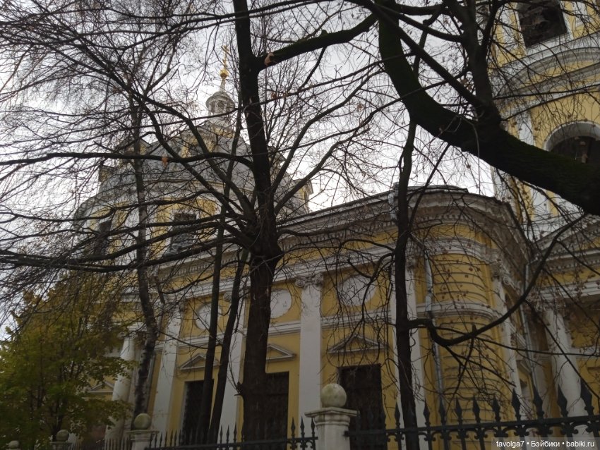 "Лес не примет, не примет город"