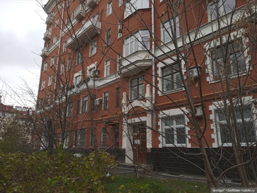 "Лес не примет, не примет город" (фото 10)