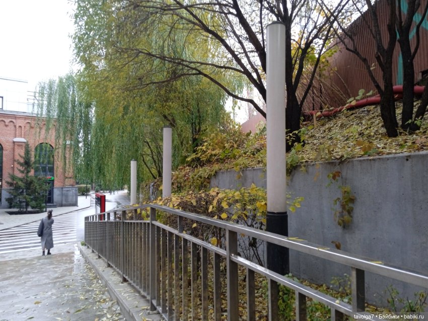 "Лес не примет, не примет город" (фото 2)