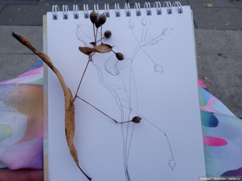 "Лес не примет, не примет город"