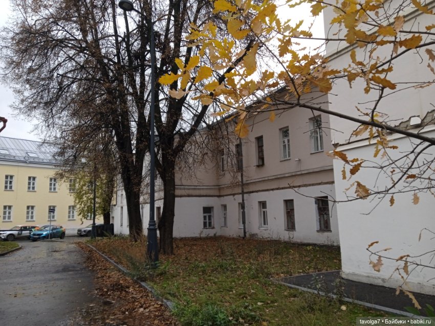 "Лес не примет, не примет город"