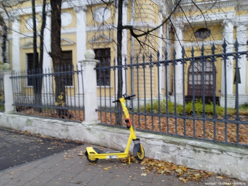 "Лес не примет, не примет город"