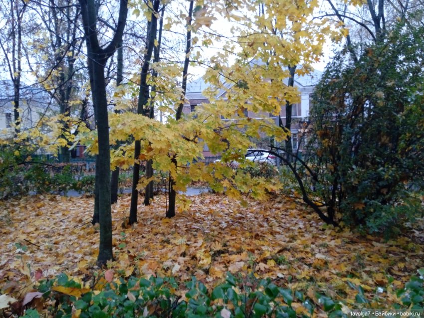 Eve Lynna Dream Park "Бэнкси в Курьяново"