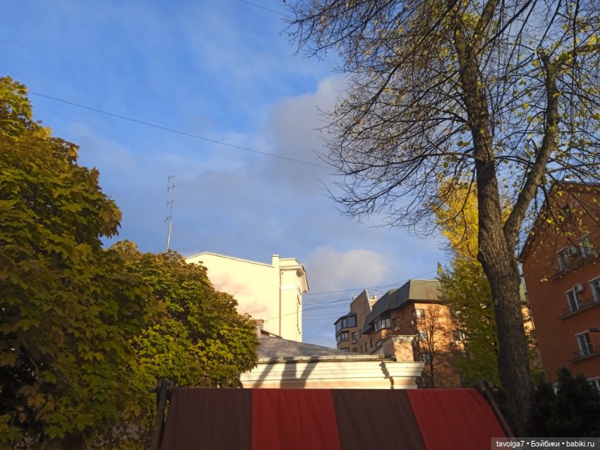 "Лес не примет, не примет город"