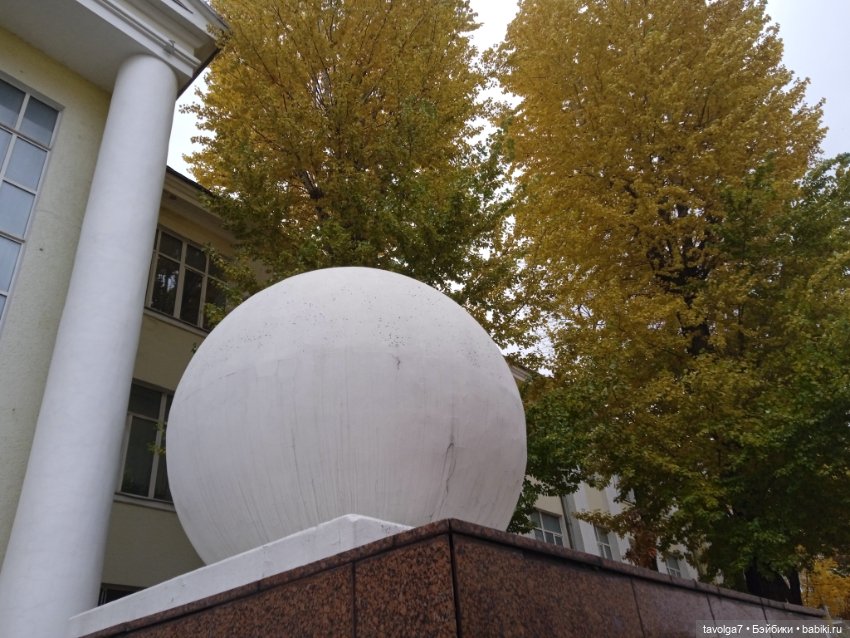 "Лес не примет, не примет город" (фото 4)