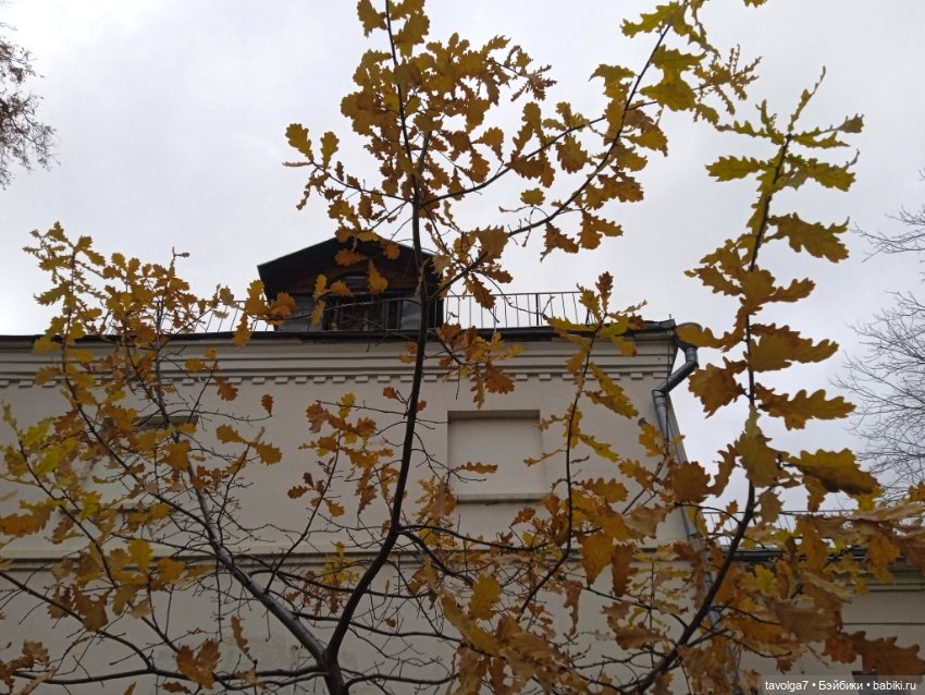 "Лес не примет, не примет город"