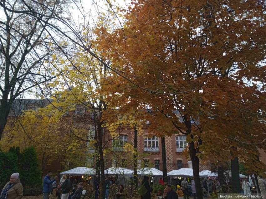 "Лес не примет, не примет город"