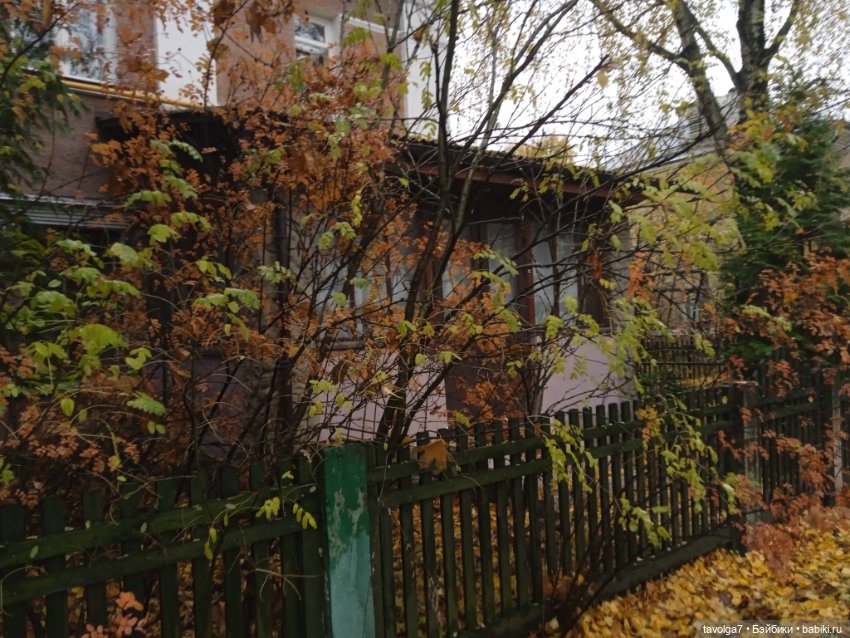 Eve Lynna Dream Park "Бэнкси в Курьяново" (фото 3)