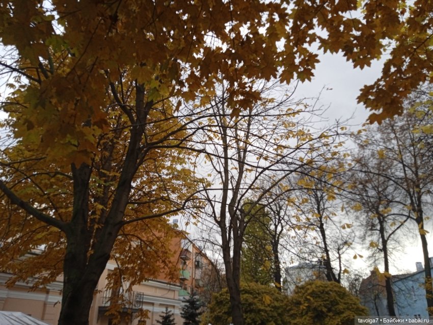 "Лес не примет, не примет город"