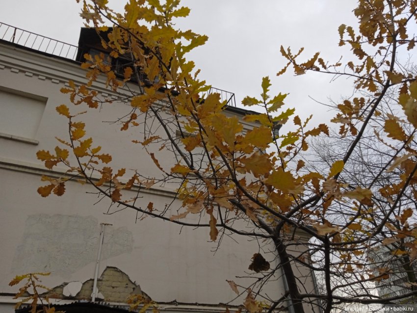 "Лес не примет, не примет город"