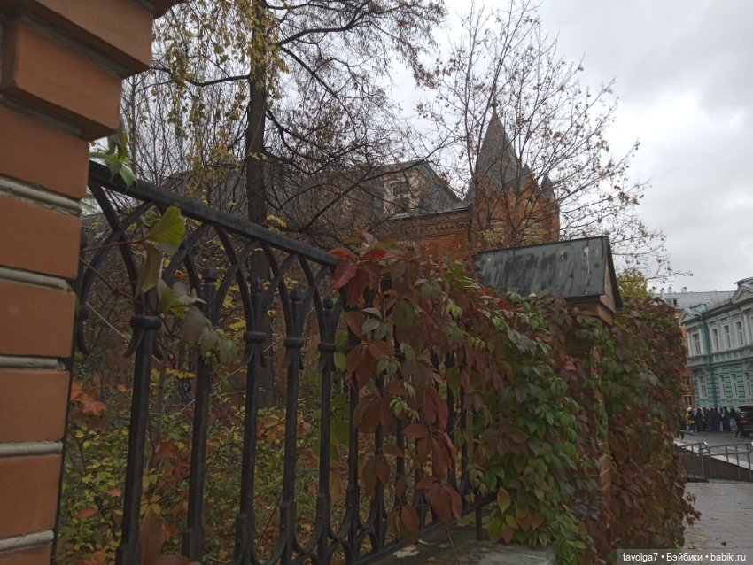 "Лес не примет, не примет город"