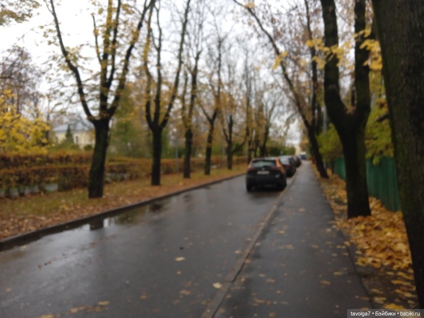 Eve Lynna Dream Park "Бэнкси в Курьяново" (фото 4)