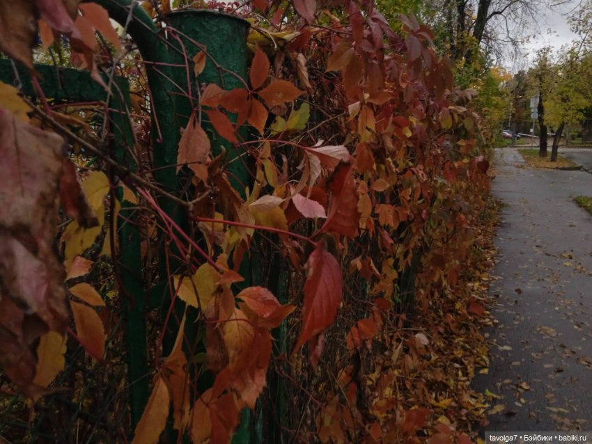 Eve Lynna Dream Park "Бэнкси в Курьяново"