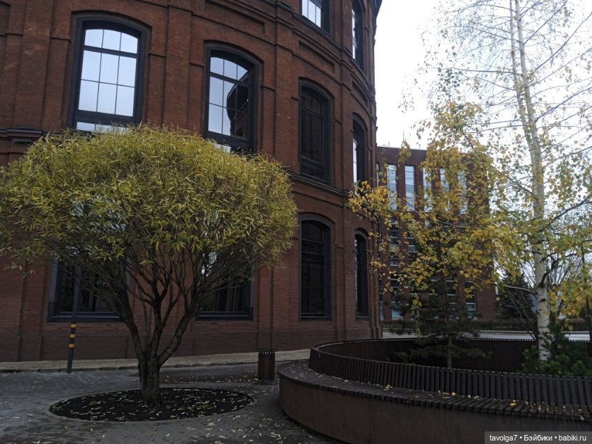 "Этот город заставляет держать спину прямо" (фото 9)