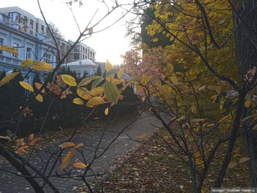 "Лес не примет, не примет город"