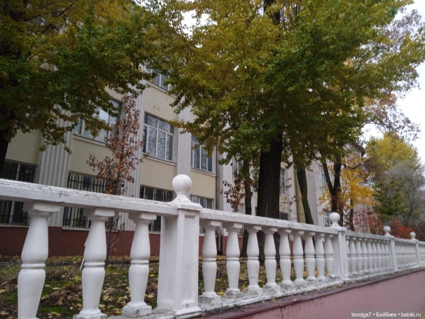 "Лес не примет, не примет город" (фото 5)