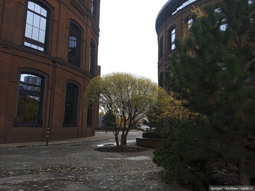 "Этот город заставляет держать спину прямо"