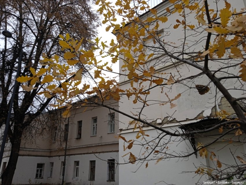 "Лес не примет, не примет город"