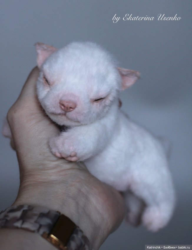 Новорожденный щенок — Авторские игрушки из разных материалов: синельная проволока (фото 2)