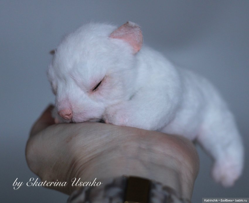 Новорожденный щенок — Авторские игрушки из разных материалов: синельная проволока (фото 3)