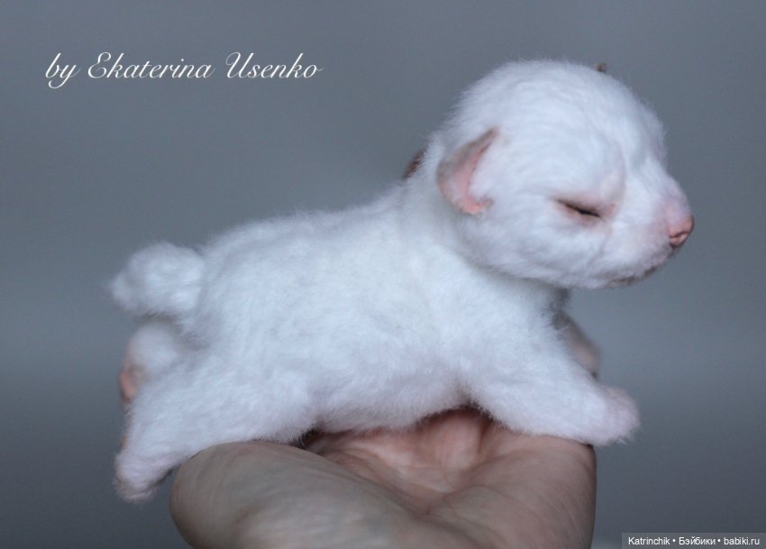 Новорожденный щенок — Авторские игрушки из разных материалов: синельная проволока