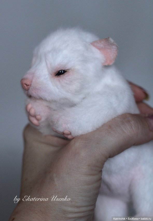 Новорожденный щенок — Авторские игрушки из разных материалов: синельная проволока (фото 6)