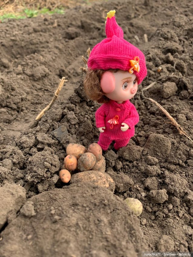 Про Нафочку. Сердце огорода (фото 8)