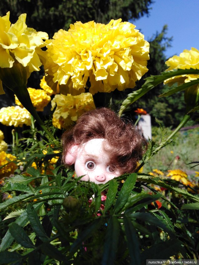 Про Нафочку. За сливками — Гибриды шарнирных кукол (не БЖД): подбор тела