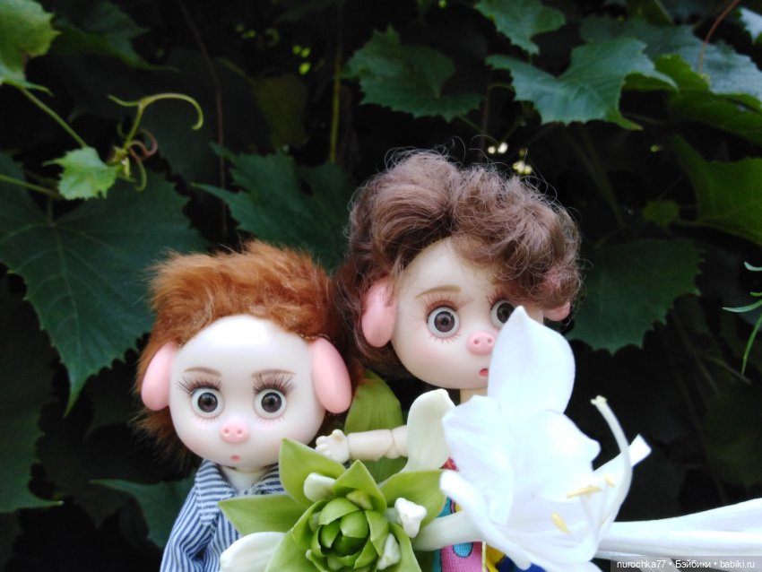 Про Нафочку. За сливками — Гибриды шарнирных кукол (не БЖД): подбор тела