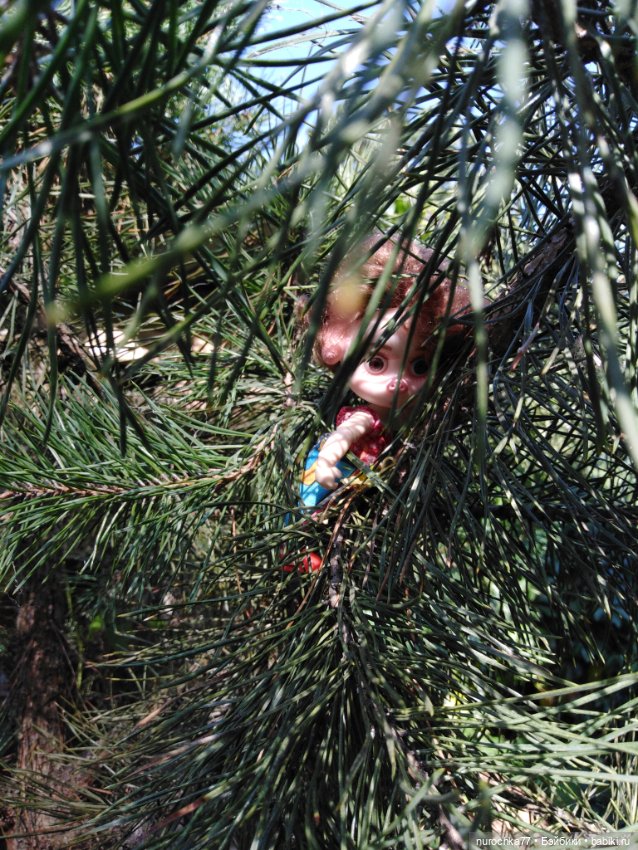 Про Нафочку. За сливками — Гибриды шарнирных кукол (не БЖД): подбор тела (фото 5)