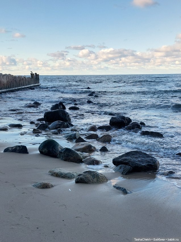 Морские прогулки с новеньким медвежонком (фото 2)