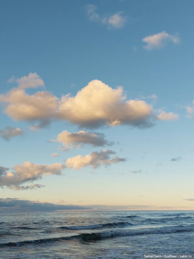 Морские прогулки с новеньким медвежонком (фото 7)