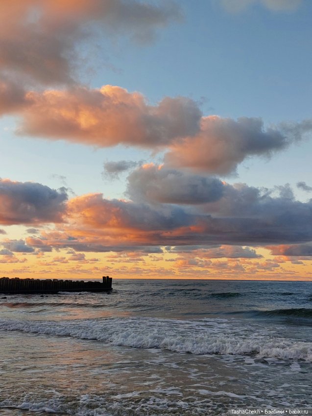 Морские прогулки с новеньким медвежонком (фото 9)