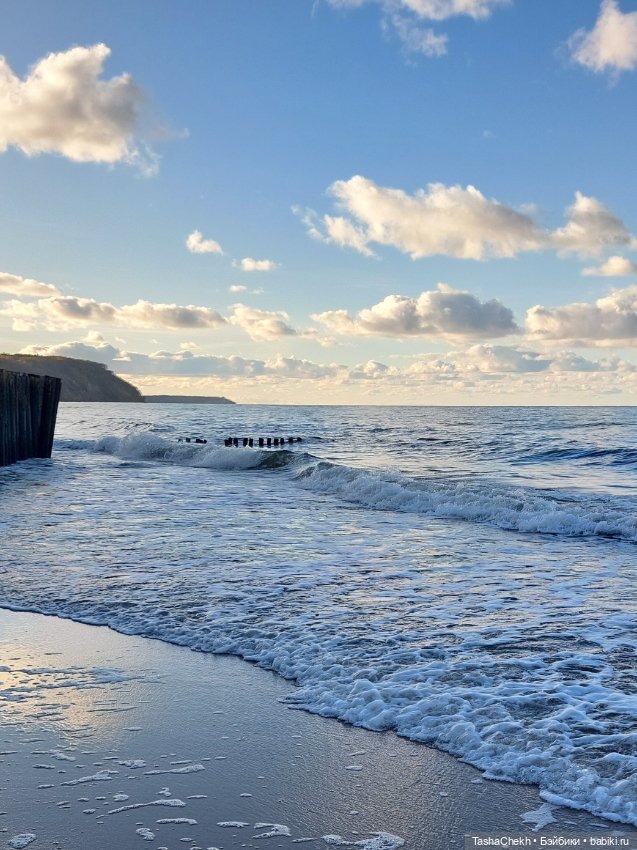 Морские прогулки с новеньким медвежонком (фото 5)