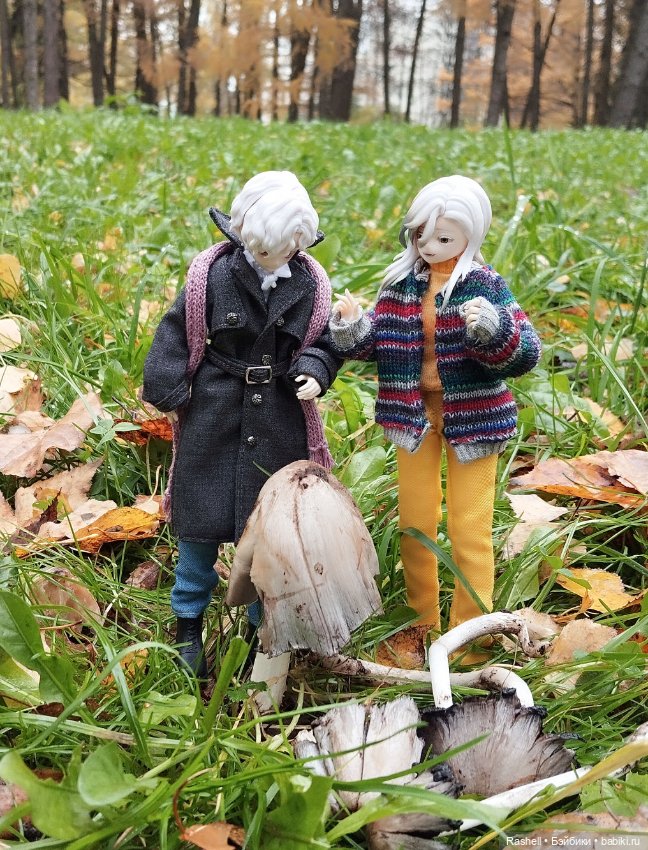 Осенний выгул песиков — Куклы Simontoys и Come4Free (Blind Box): Teennar (фото 8)